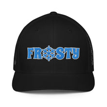 Load image into Gallery viewer, The Frosty FlexFit cap