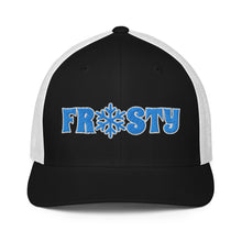 Load image into Gallery viewer, The Frosty FlexFit cap
