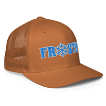 Load image into Gallery viewer, The Frosty FlexFit cap
