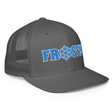 Load image into Gallery viewer, The Frosty FlexFit cap