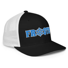 Load image into Gallery viewer, The Frosty FlexFit cap
